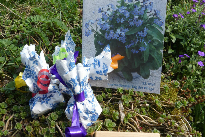 Vergissmeinnicht Blumen